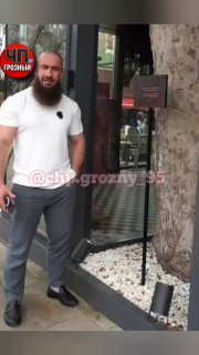 Сохранение Платана: Как Предприниматель Чечни Уважил Память Отца